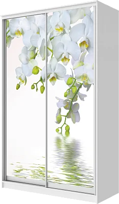 картинка Шкаф-купе 2-х дверный с фотопечатью Белая орхидея 2300 1200 420 от магазина КУПИ КУПЕ